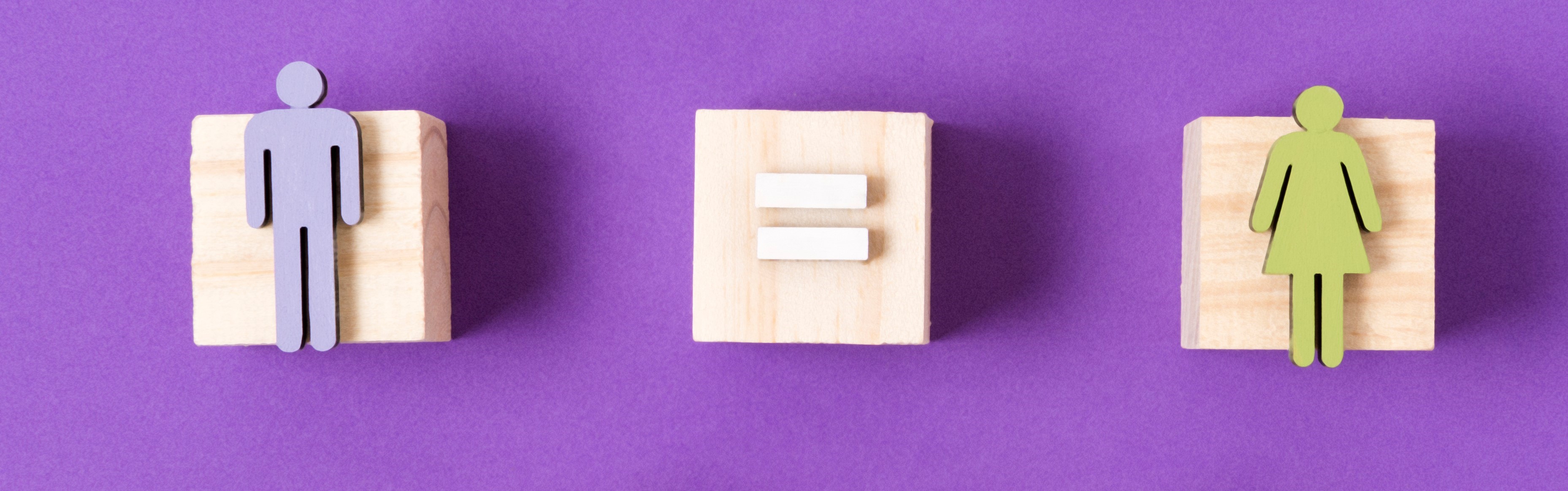 Imatge pels mitjans: Enquesta Pla d&#39;Igualtat